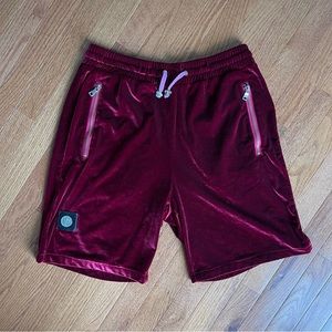 Get Me Fly Velour Shorts